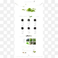 绿色简约茶叶首页背景