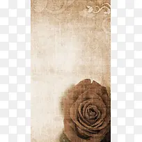 玫瑰花复古H5背景素材