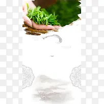 清馨绿茶绿茶上市H5背景素材