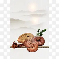 养生滋补保健品灵芝