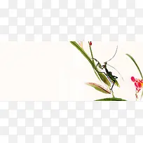 中国画 知了 树叶 绿叶 瓢虫 昆虫