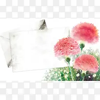 手绘康乃馨印刷背景