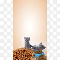小清新喵咪猫粮PS源文件H5背景素材