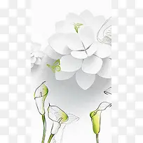 白色花卉背景