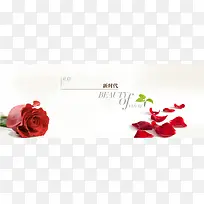 新时代玫瑰花海报