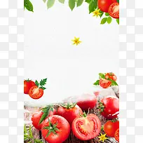 西红柿蔬菜促销海报