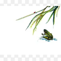 青蛙捕食水墨画背景