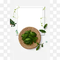 生态绿茶白色简约促销海报