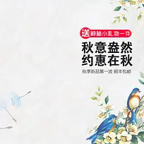 秋装新品主图 淘宝直通车图