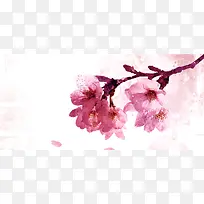 梦幻唯美樱花背景