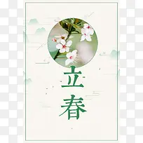 传统节气浅绿色清新立春花朵背景