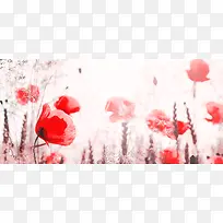 红色小花背景图