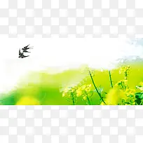 油菜花笔刷燕子渐变白色banner