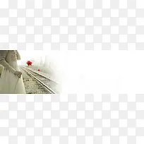 美女花朵铁路背景banner