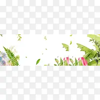 清新花朵背景