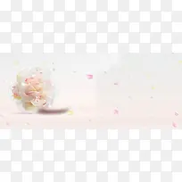 花瓣炫彩背景