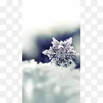 雪花雪结晶背景