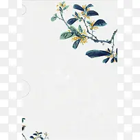 夏至季节风景美图
