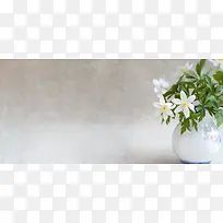 桌面上的小白花图片