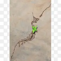 在地震中顽强的生存