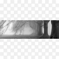 摄影灰色雾霾里的树木