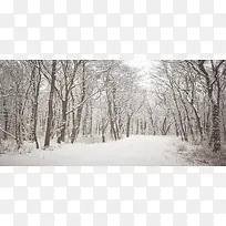 唯美树林雪景背景