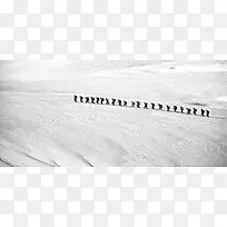 雪地上一排行走的人图片