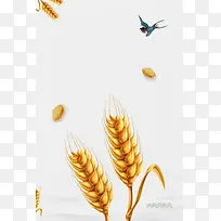 小满二十四节气宣传海报