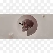 卡通骷髅图片