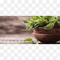 薄荷木碗背景图