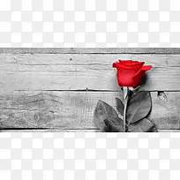 木板上的一只玫瑰花背景
