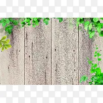 韩式木板白色绿叶森林健康藤曼家装海报背景