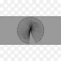 点线