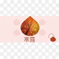 寒露二十四节气露水简约粉色banner