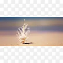沙滩背景banner