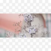 日系文艺清新枯枝背景