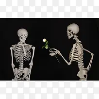 美式情人节骷髅送花背景素材