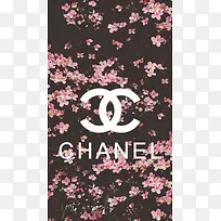 花卉时尚H背景