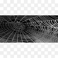 简约的蛛蛛网背景