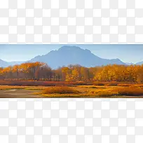 唯品会banner