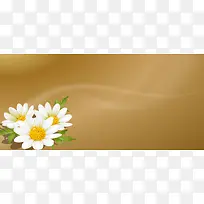 淡雅花朵背景