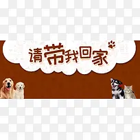 宠物领养卡通可爱banner
