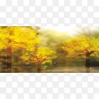 手绘秋树背景