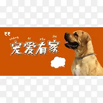 宠爱有家简约可爱小狗banner