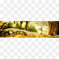唯美风景banner创意设计