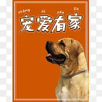 宠爱有家宠物店宣传
