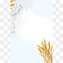 简约你好小满节气海报