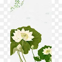 极简唯美清新荷花荷叶