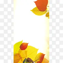 简约黄色枫叶扁平背景素材