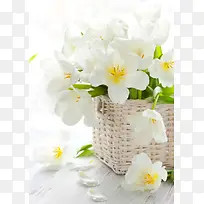 淡雅白色花瓣化妆品推广海报背景素材